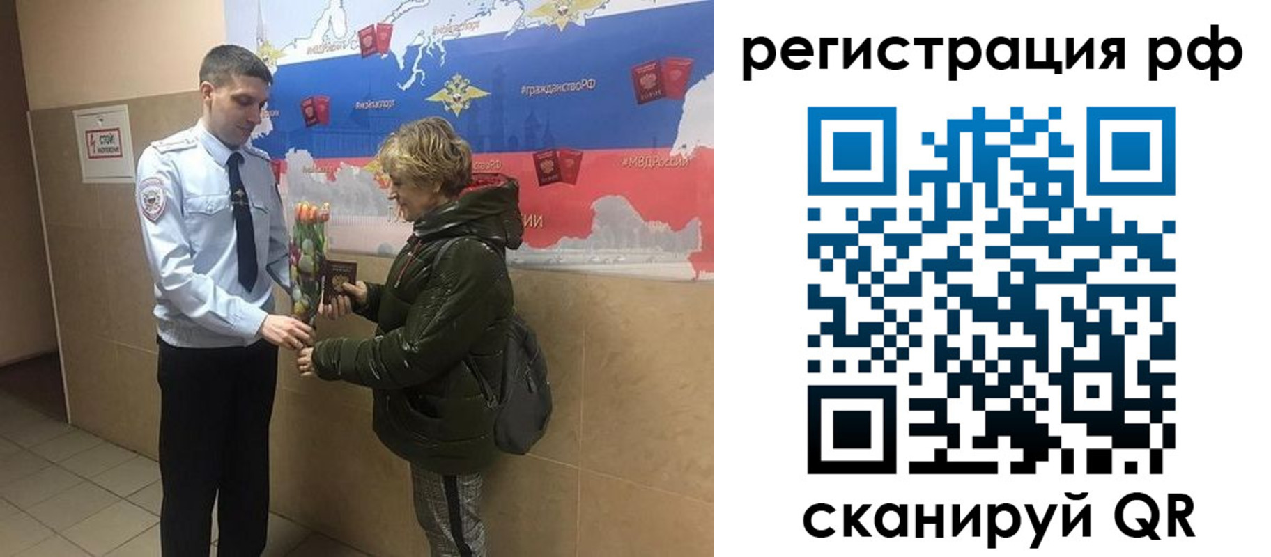 прописка 2025 в Каргополе