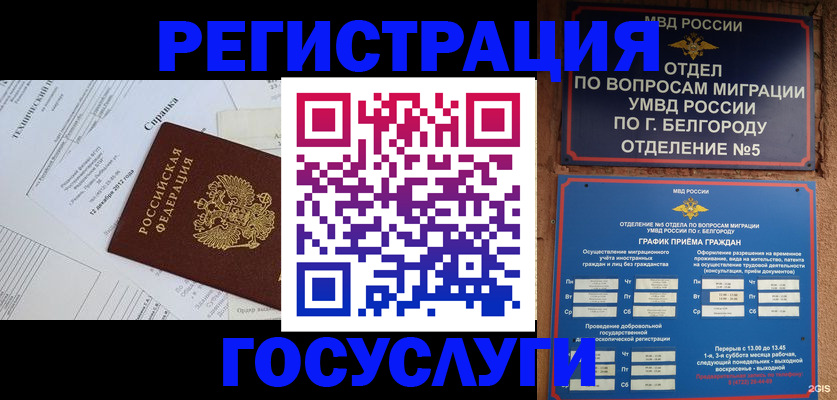 временная прописка в Каргополе